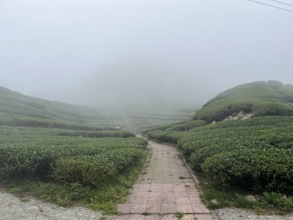 2023_0429_挑筍古道2138276