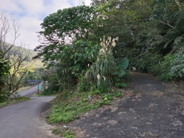 頭城鎮龜山車站+北關山豬線+叢雲山+梗枋古道出龜山車站O型3007589