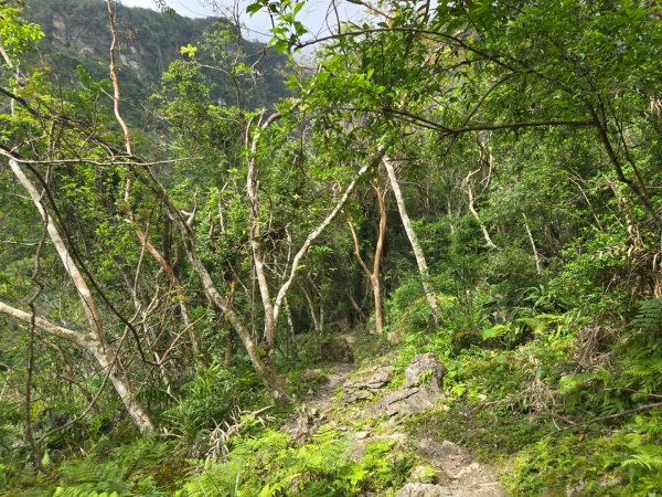 麻荖漏步道、彩虹瀑布2697928