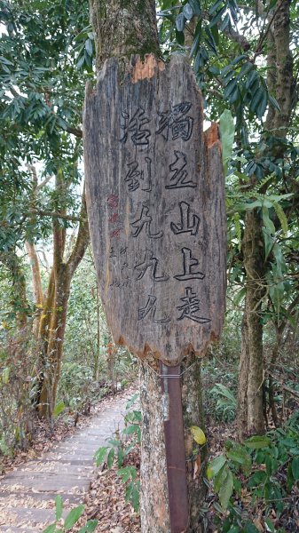 20210228獨立山大籠頂步道1618524