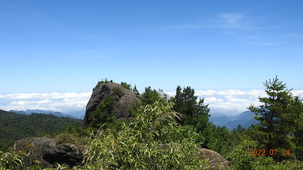 最高小百岳-大塔山2663M&阿里山二延平步道1775078