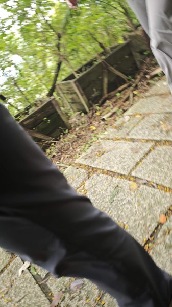 2025-0512內湖到中社2784804