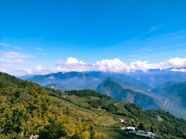 雲嘉連峰2365732