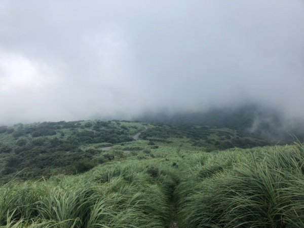 大屯主峰南峰20190727637364
