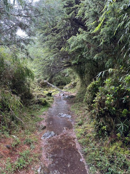 風雨中上東埔山2260944