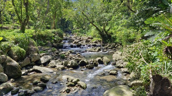 (姨婆趴趴走)第二十一集:桃園復興高遶溪古圳步道、新柑坪山、牛背岩環狀縱走2252296