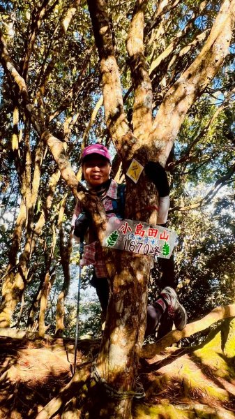 🌈11/9(日)高島縱走~高台山連走島田山山徑✨FB：熊熊趴爬走🌈2932514