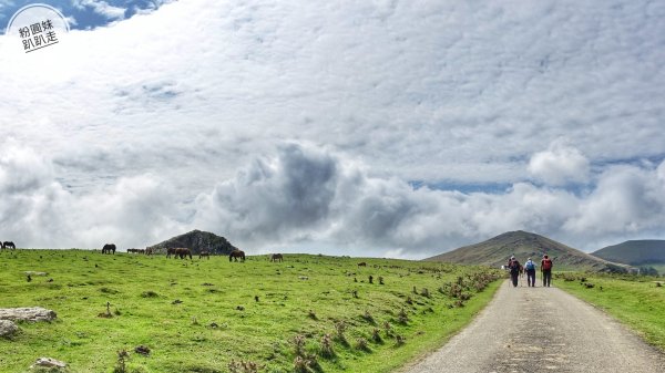 【勇氣2.0朝聖之旅】 D1庇里牛斯山賞雲海652980