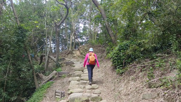 (姨婆趴趴走)第五十集:新北樹林大同山、青龍嶺、大棟山諸峰連走2751620