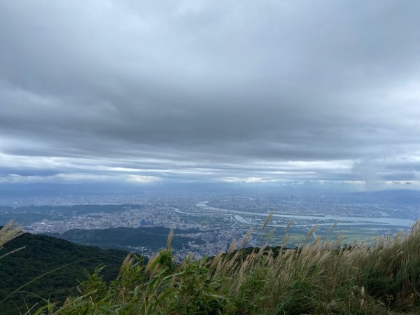 陽明山：面天山 - 向天山步道2441848