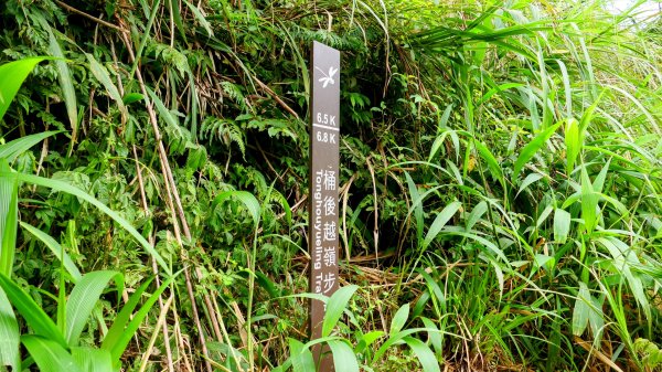 桶後越嶺古道2876805