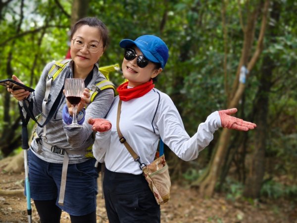 東勢大崙、東勢坑山、觀音湖山O走2986298