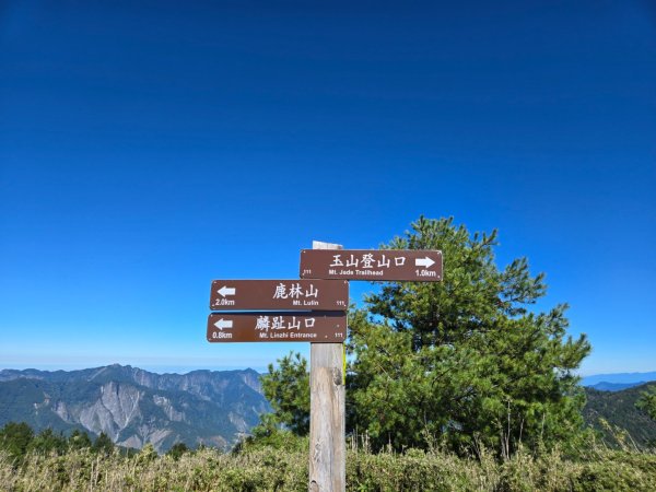 麟趾山、鹿林山、鹿林前山三山縱走2630038