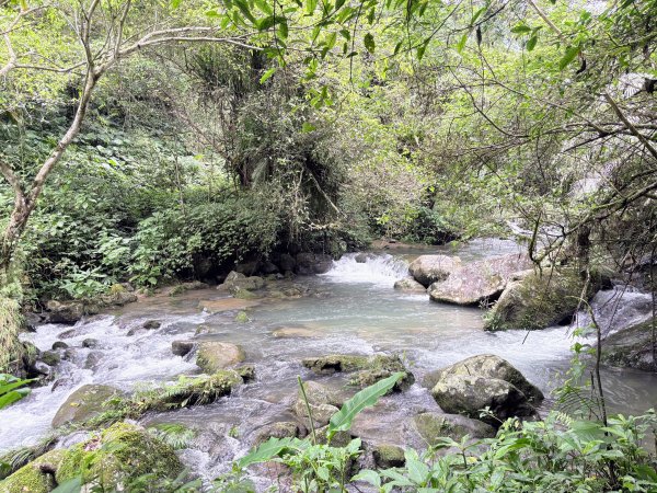 馬胎古道、南坪古道3080422