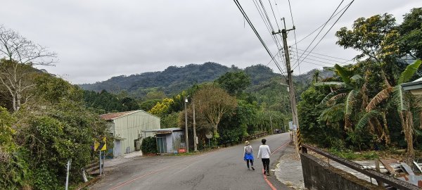 2025/02/08_苦苓腳古道2709260