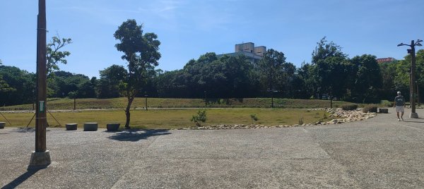 大湳森林公園2910975