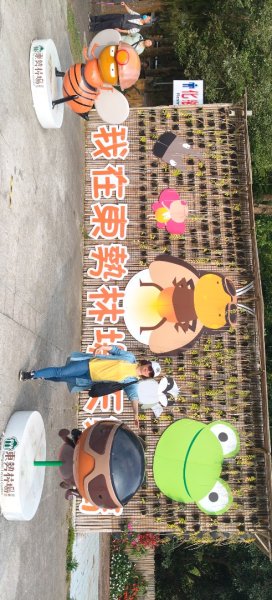 東勢林場森林浴場步道3019124