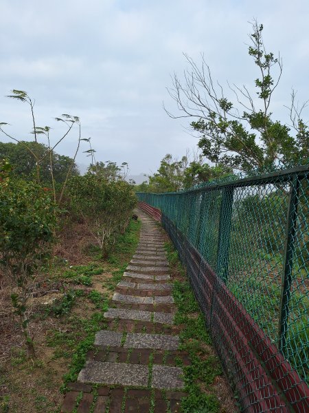 劍潭古道202503122734310