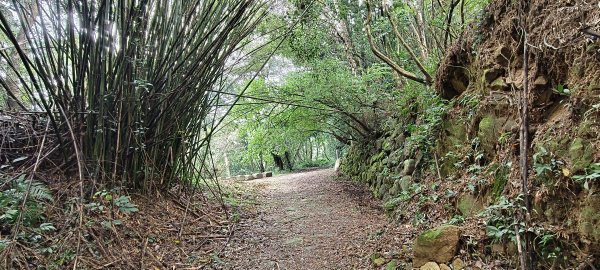 2024/12/14_關刀山步道O型2669315