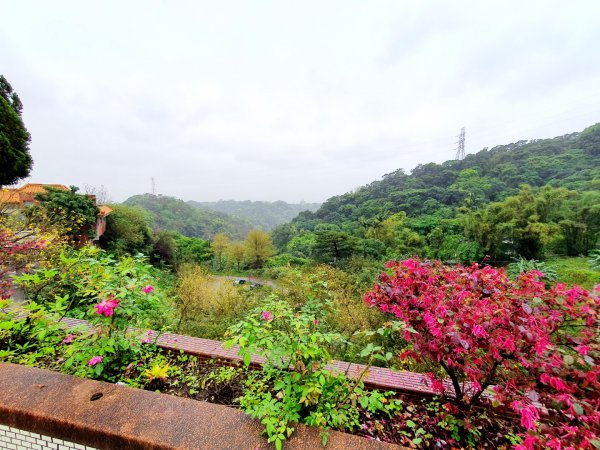 樹林山，大同山，青龍嶺，三角埔頂山，武器公園，土城明德山，四十張山，中和饅頭山，士林雙溪公園1652634