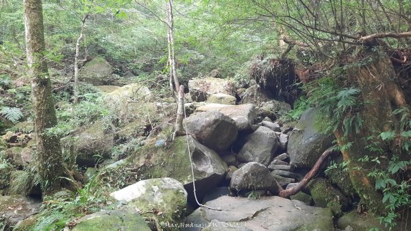 《新竹》斷崖神木｜北得拉曼步道小P繞202510172917572