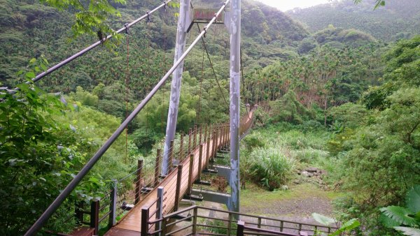 大尖山的步道1846339