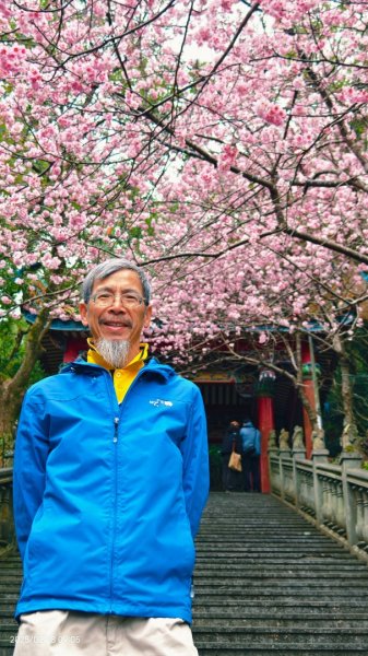 內湖碧山巖 2/182714788