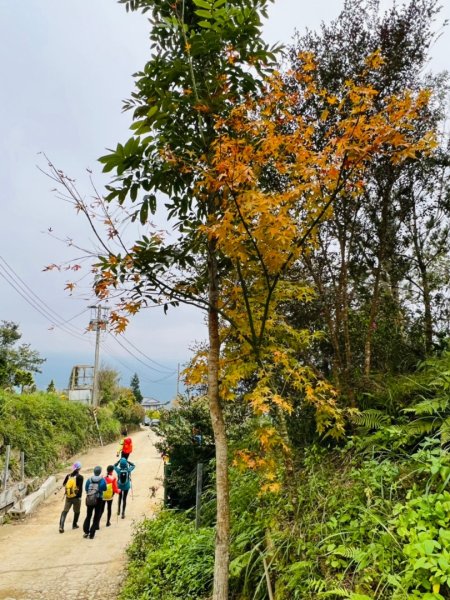【苗栗郊山聖稜線】仙神象18連峰大縱走2676026