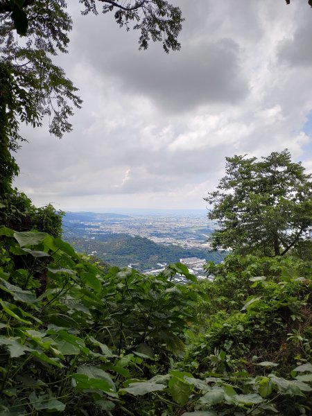 20250609 初探三汀山2806304