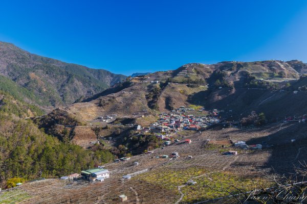 福壽山千櫻園櫻花盛開2724928