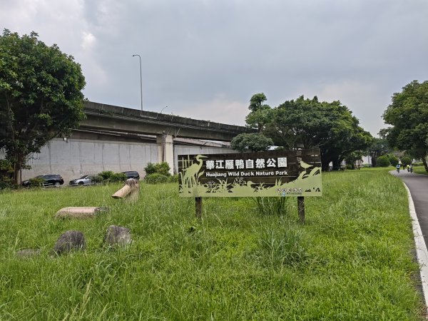 [跟著2025雙北世壯運探索雙北市-1/21] 2025_0607 飛盤競技道（華江雁鴨河濱步道）2807806