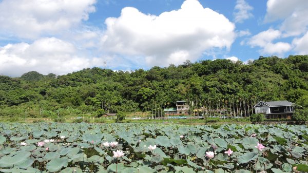 東北角風景區/上山下海趣31063966