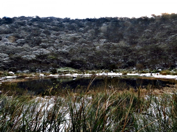 白雪覆蓋的向天山/向天池/面天山/二子坪30252