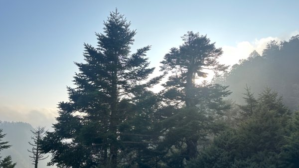 東埔-排雲-玉山西峰-玉山主峰2753189