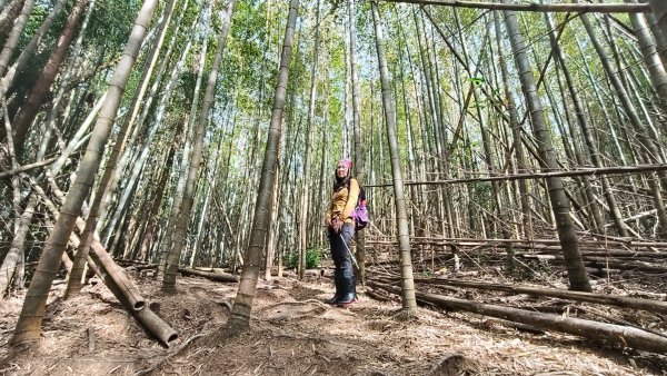 肥大醜三崠連走，鳶嘴西陵上鳶嘴山2650331