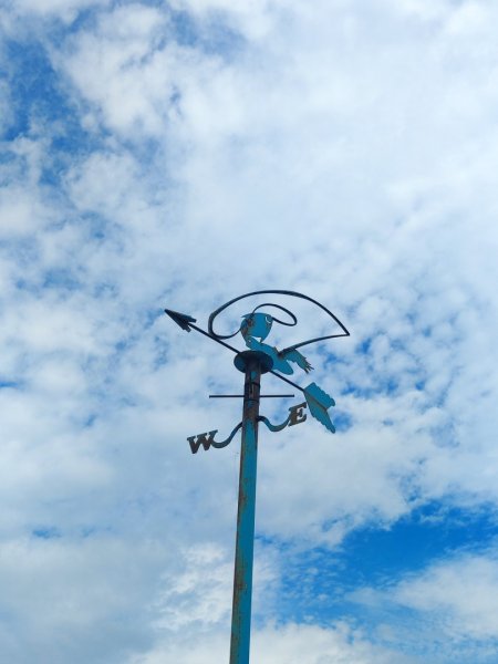 海科容軒步道-潮境復育公園-忘憂谷步道3058517