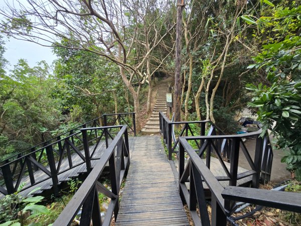 台中大坑9號／9之1／6號／7號O繞3連峰（西平山／平和山／大山母山）2709818