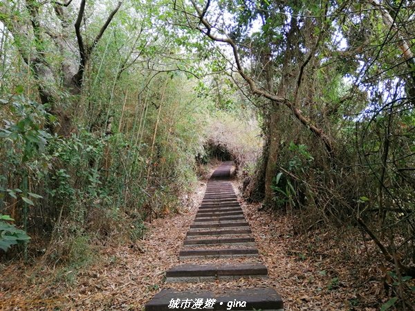 適合賞景健身親子型步道~鳳凰山觀音山步道1244177