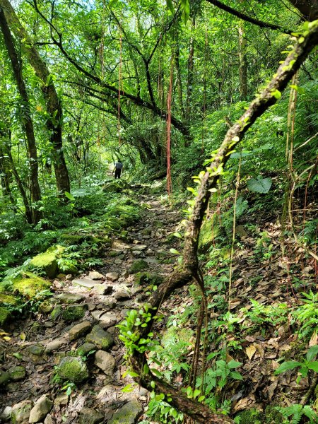 淡蘭古道中路--灣潭古道2224005