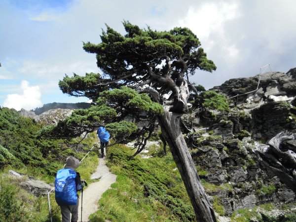 南湖群峰_南湖大山_南湖東峰__南湖北山_審馬陣山_多加屯山201408271960108