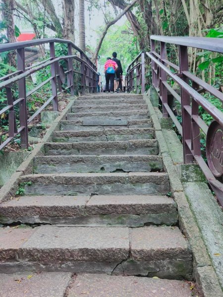 象山步道及永春崗步道1355304