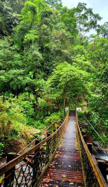 太平山森林遊樂區，檜木原始林步道，九寮溪自然步道，戈霸瀑布，開眼崙登山步道2223277