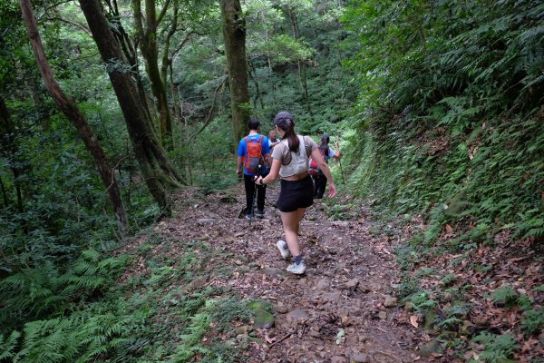 桃園復興區  東卡O縱2823845