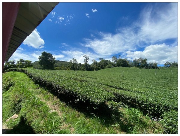 南東眼山 新基石 (南投、仁愛)2844755