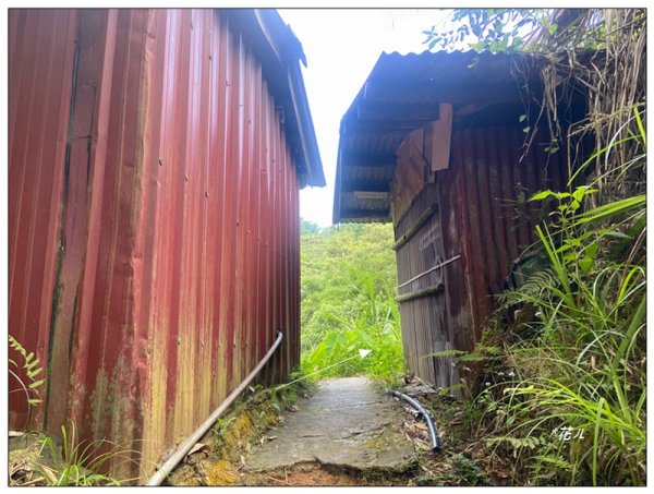 澀水森林步道、水上瀑布2846768