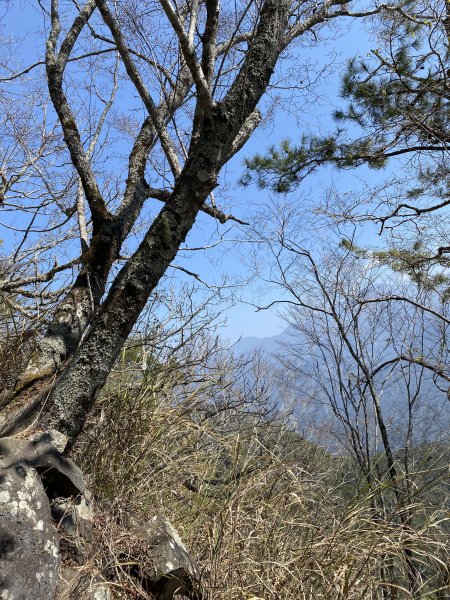波津加山3059419