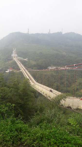 太平雲梯到橋步道787518