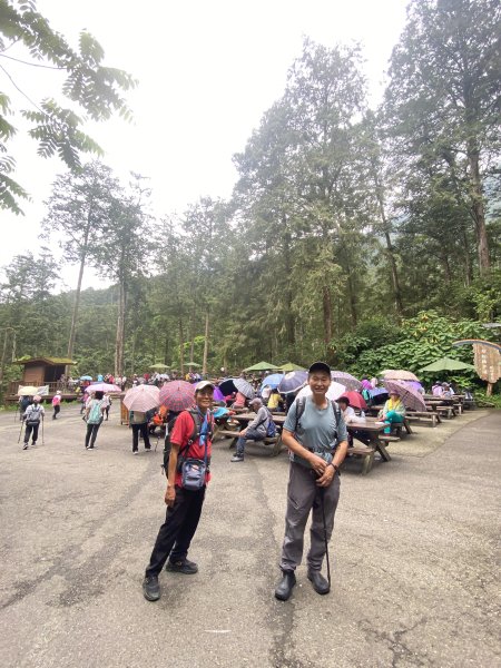 溪頭散步悠遊    2024.5.202517671