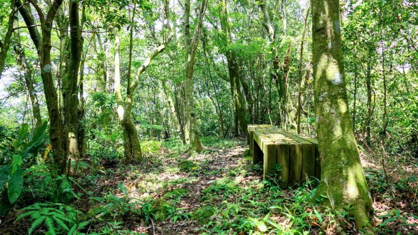 石古井,青林山,畝畝山,平溪子山2854687