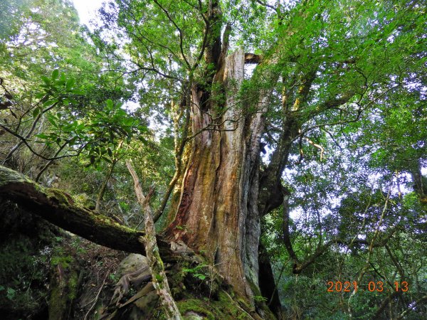 苗栗 南庄 加里山、哈堪尼山1304164